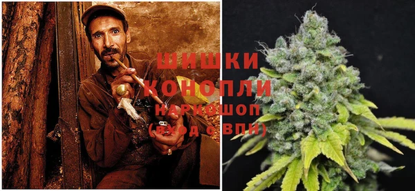 каннабис Белокуриха