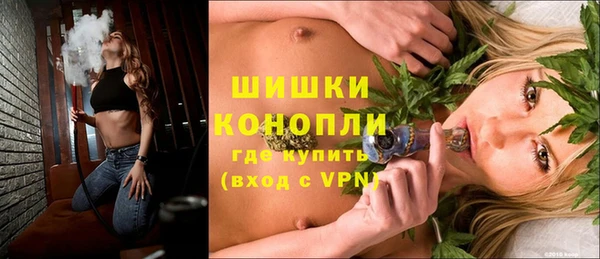молекула духа Богданович