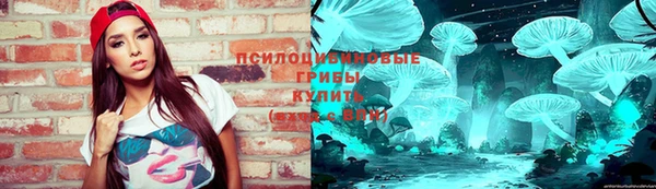 молекула духа Богданович