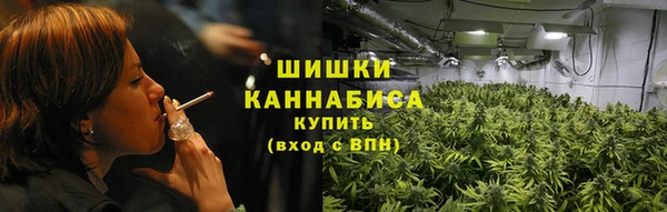 молекула духа Богданович